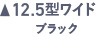 12.5型ワイド ブラック