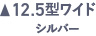 12.5型ワイド シルバー