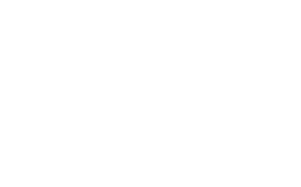 トレンドと無縁なことを誇りたい。