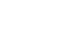 トレンドと無縁なことを誇りたい。