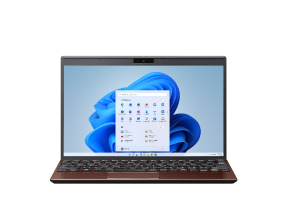 VAIO SX124